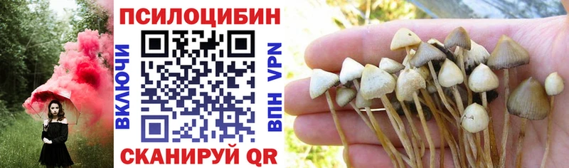Псилоцибиновые грибы Magic Shrooms  Богородицк 